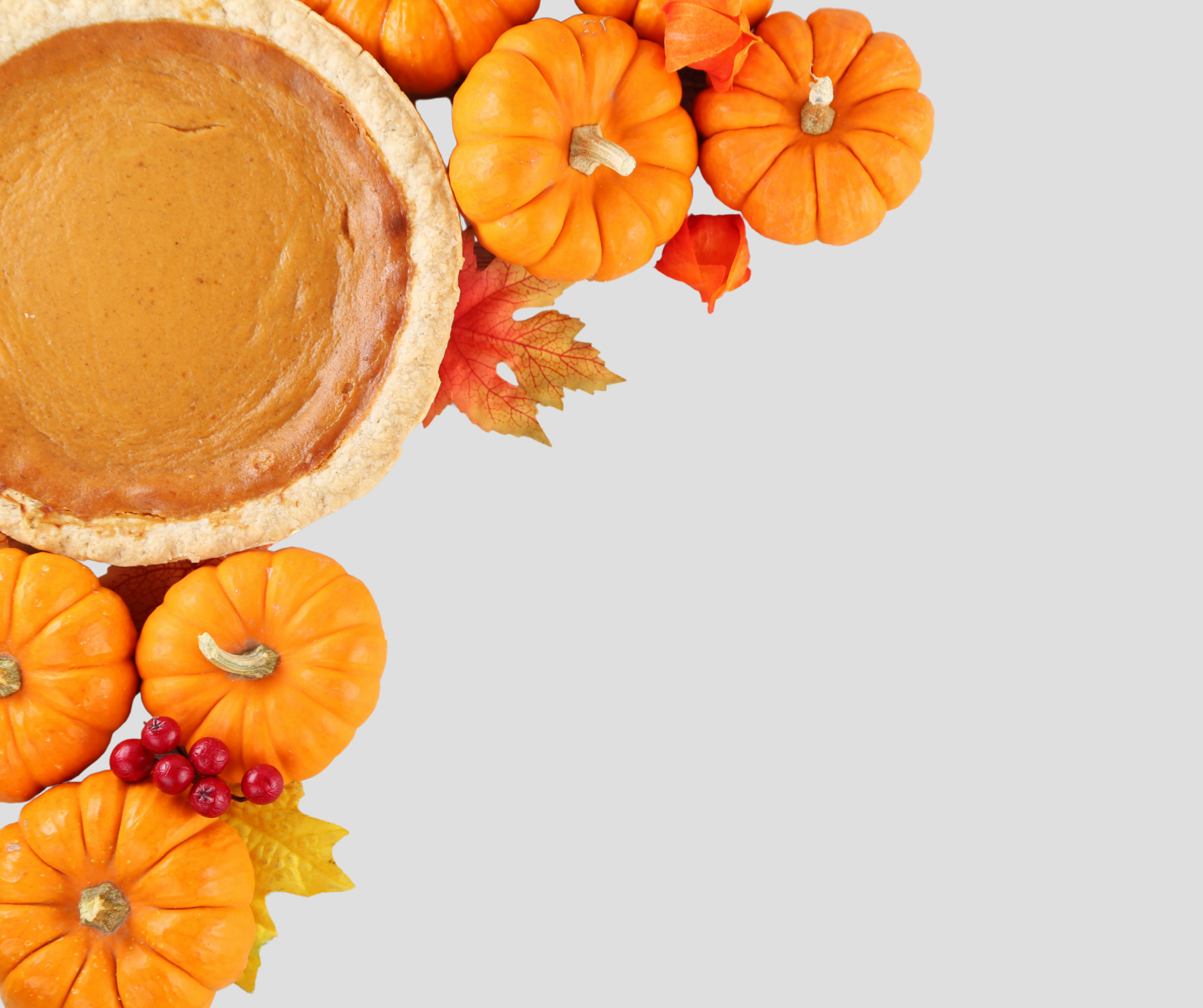 Thanksgiving – Web Banner