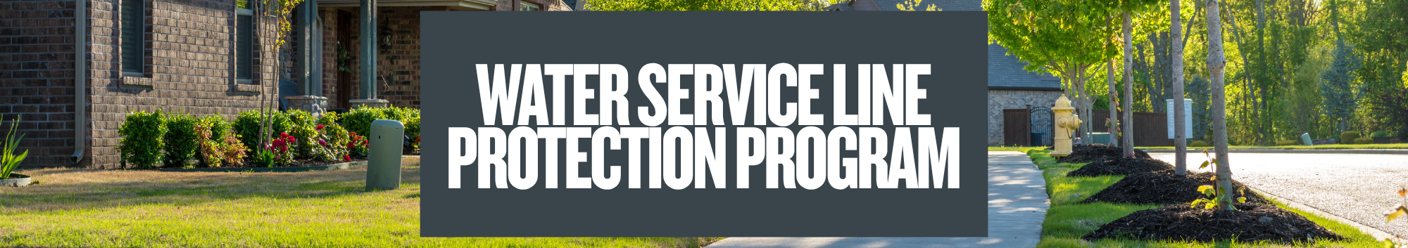 WSLP Web Banner