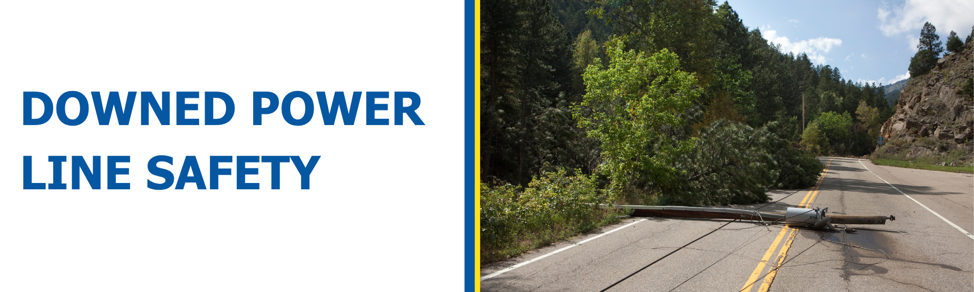 Downed power line safety