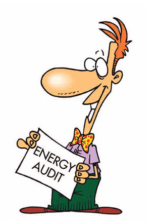 Energy Audits Business Customers